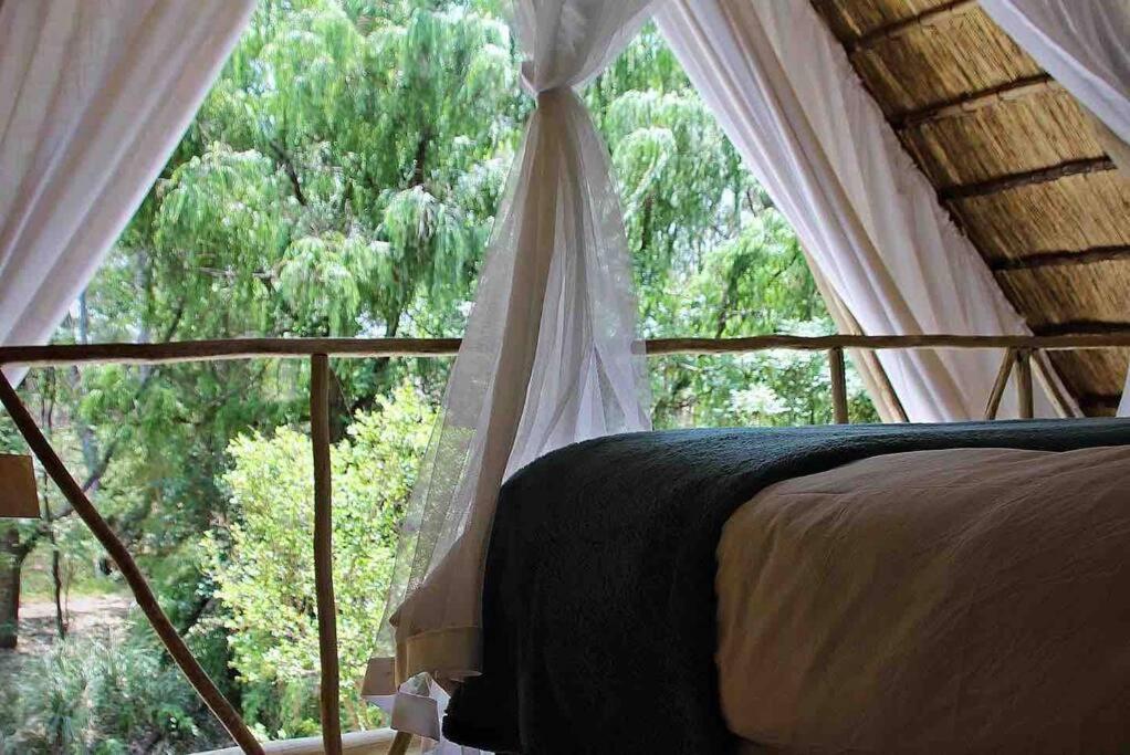 Hot Spring Bungalow In Limpopo Gemsbokfontein Bagian luar foto