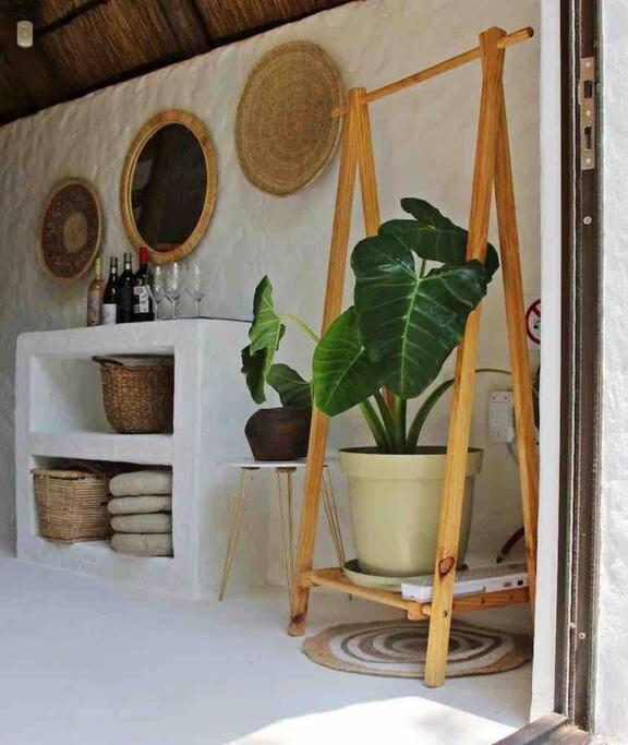 Hot Spring Bungalow In Limpopo Gemsbokfontein Bagian luar foto